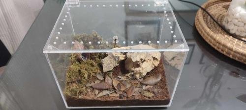 Isopod Terrarium Kit PRO - Small