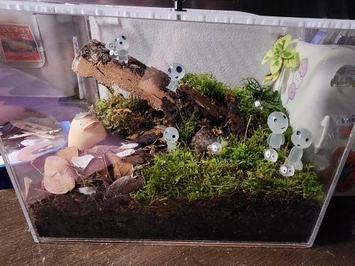 Isopod Terrarium Kit PRO - Small