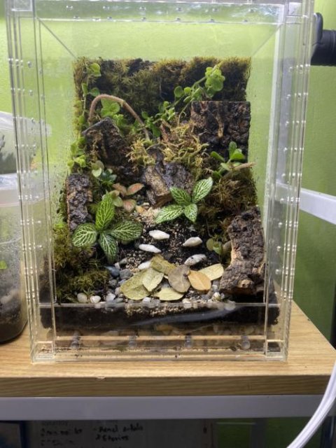Isopod Terrarium Kit PRO - Small