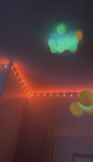 Glorbs® V3 (4-Pack)