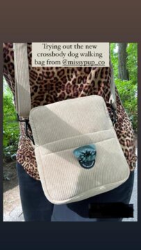Crossbody Dog Walking Bag review