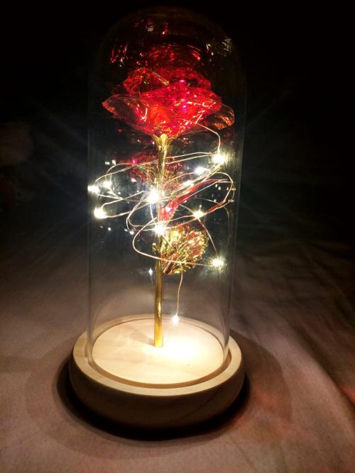 Red rose glowing in a reviewer's room