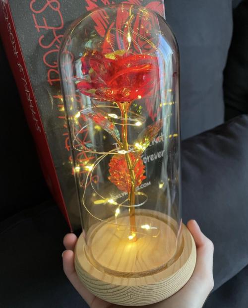 Reviewer holding the red rose beside the box