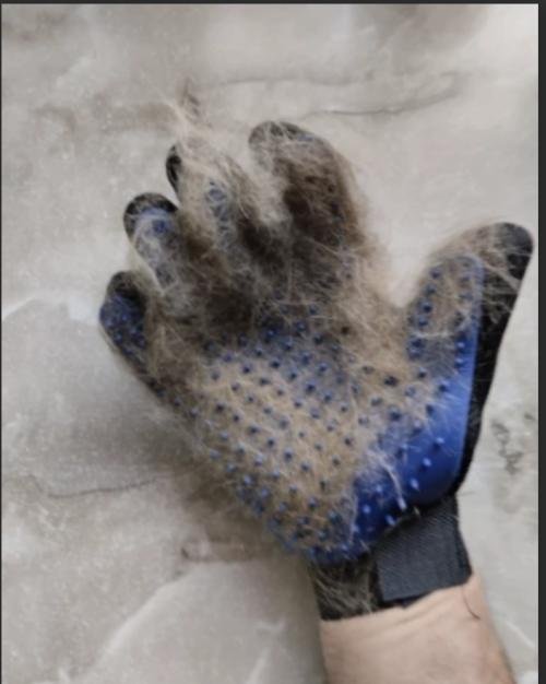 MrFluffyFriend™ - Glove Brush
