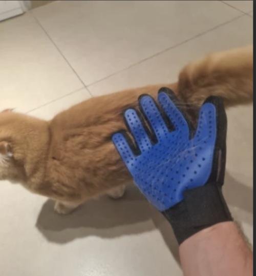 MrFluffyFriend™ - Glove Brush