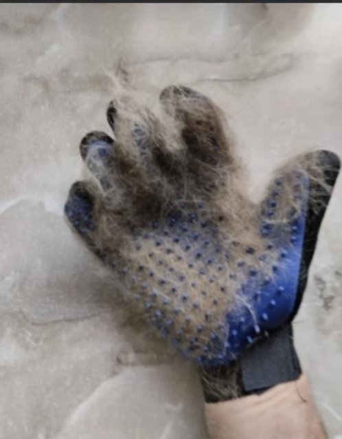 MrFluffyFriend™ - Glove Brush
