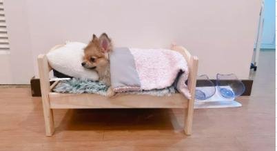 MrFluffyFriend™ - Orthopaedic Pillow