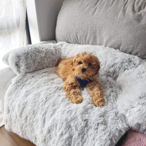 MrFluffyFriend™ - Fluffy Couch Cover for Dogs and Cats