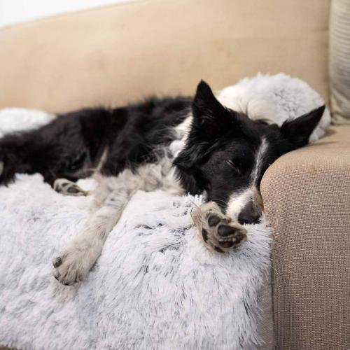 MrFluffyFriend™ - Fluffy Couch Cover for Dogs and Cats