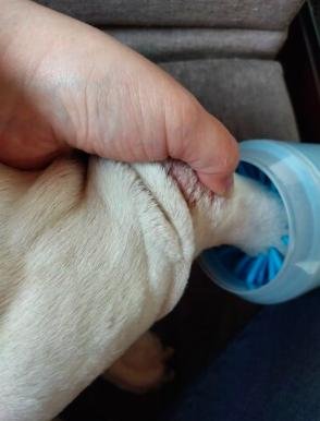 MrFluffyFriend™ - Paw Cleaner