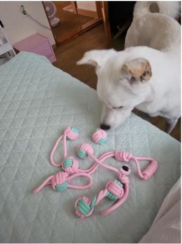 MrFluffyFriend™ - Set of 6 Dog Toys for Stronger Teeth
