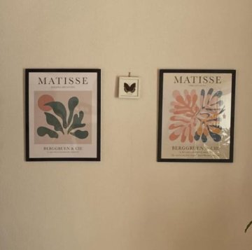 The Cut-Outs by Henri Matisse Print review