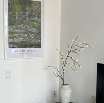 Monet Bridge over a Pond of Water Lilies 1899 Print N71 review