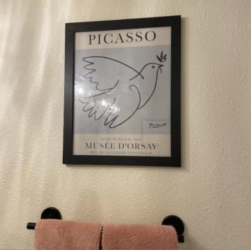 Dove of Peace by Pablo Picasso Print review