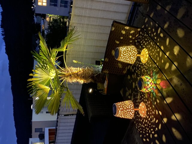 Solar Powered Garden Spotlight