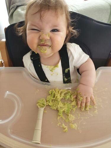 Ava High Chair- White / Beech