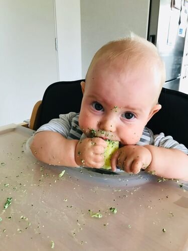 Ava High Chair- White / Beech