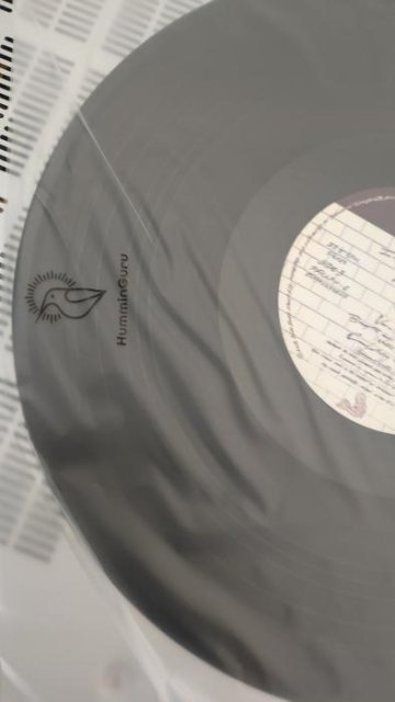 Ministry レコード　12インチ　LP Amazon.co.jp: 80サイズ ダンボール LPレコード 12インチ 【330