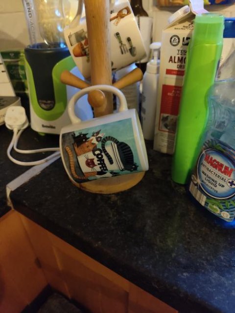 COFFEE CATS 2 mug