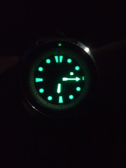 SEIKO PROSPEX AUTOMATIC TURTLE 'GREEN SEA URCHIN' GENTS WATCH | SRPJ51K1