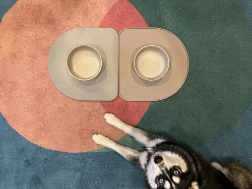 QuickDry Bowl Base