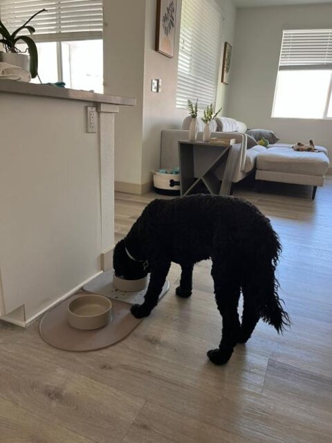 QuickDry Bowl Base