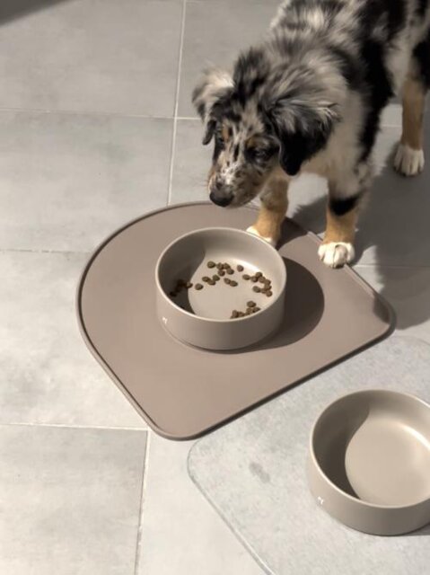 QuickDry Bowl Base