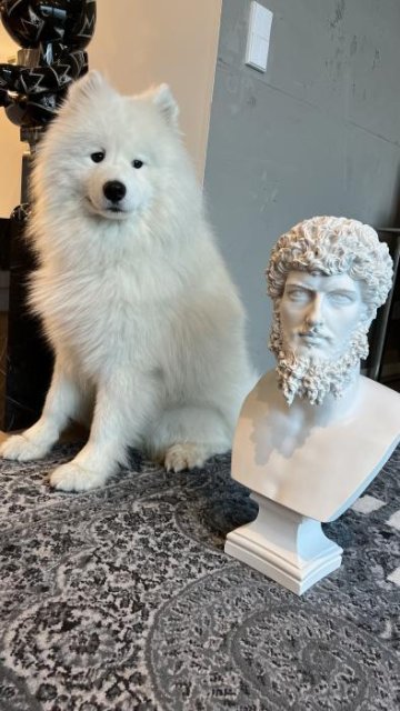 Buste de Lucius Verus - Empereur romain (grande taille) - sculpture en marbre