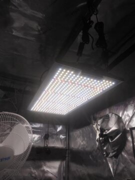 Viparspectra XS2000 LED Grow Light review