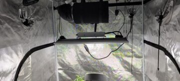 Viparspectra XS2000 LED Grow Light review