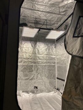 Viparspectra XS2000 LED Grow Light review