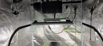 Viparspectra XS2000 LED Grow Light review