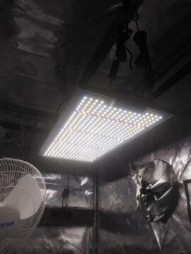 Viparspectra XS2000 LED Grow Light review