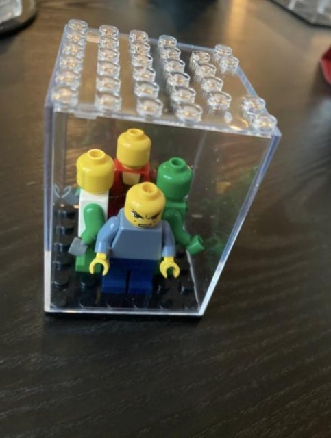 Figures Display Case