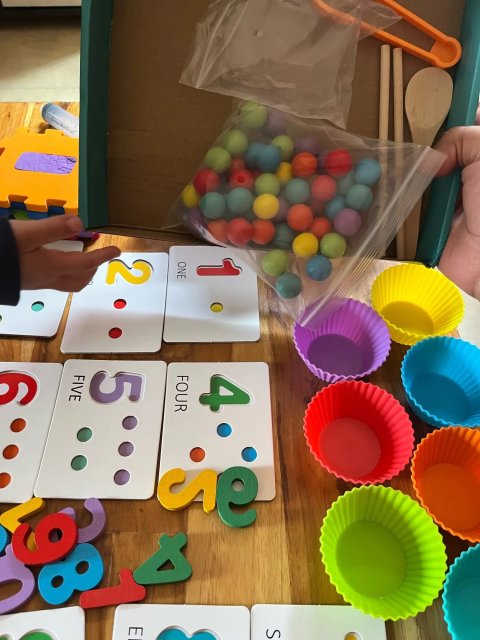 Number Cognitive Montessori Kit
