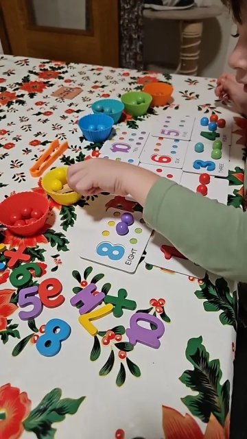 Number Cognitive Montessori Kit