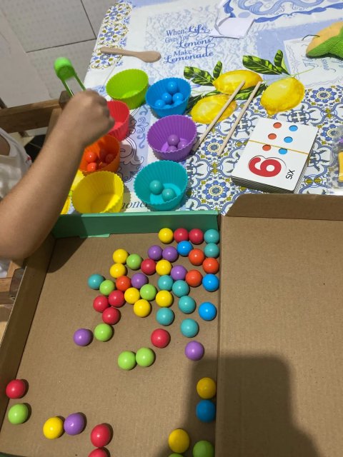 Number Cognitive Montessori Kit