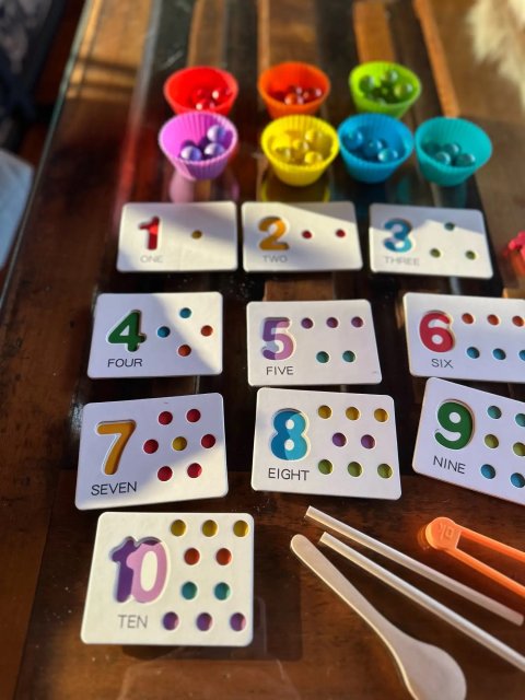 Number Cognitive Montessori Kit