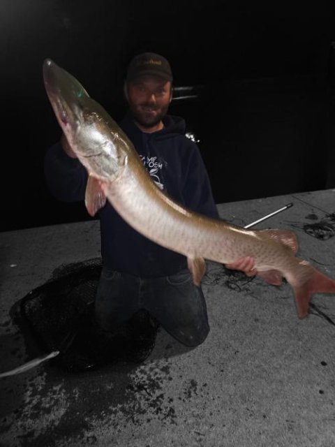 Toddy Tickle Baits 14" Warhammer Swimbait