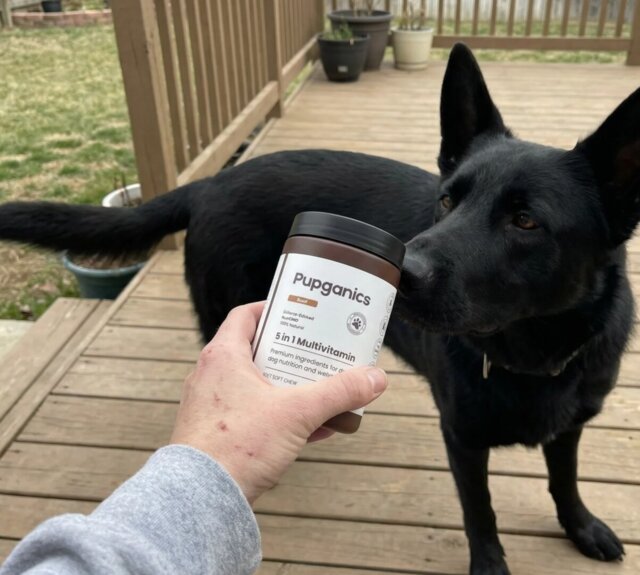 Pupganics Multivitamin™ Daily Soft Chews