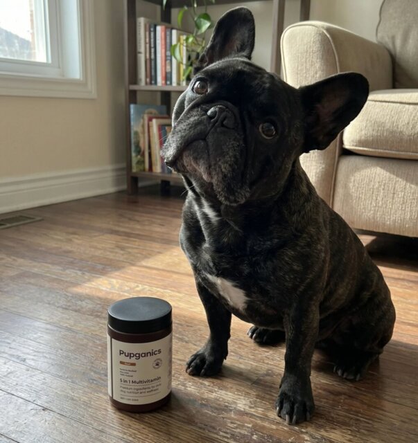 Pupganics Multivitamin™ Daily Soft Chews
