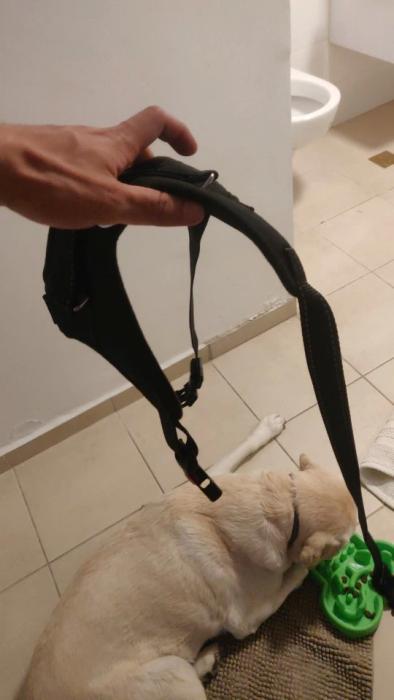 Kanagear dog clearance harness