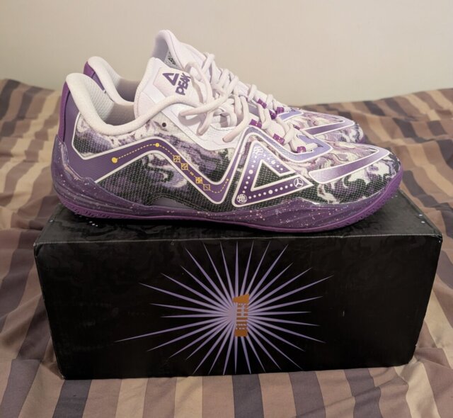 シューズ(男性用) Peak Taichi Supreme ピーク・タイチ・スプリーム「アンチノミー」