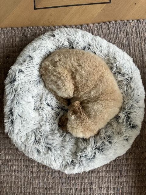 MrFluffyFriend™ - Ångestlindrande hundbädd