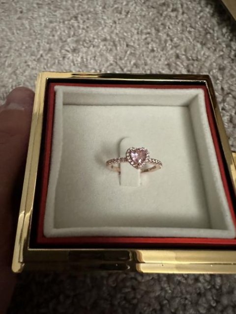 Rotating Forever Rose Box - W/ Promise Ring