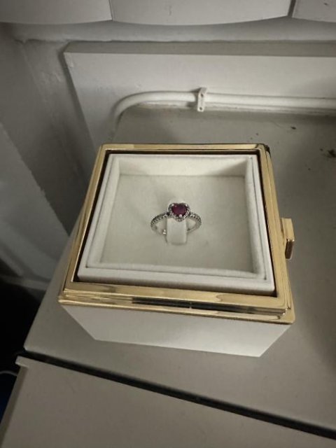 Rotating Forever Rose Box - W/ Promise Ring