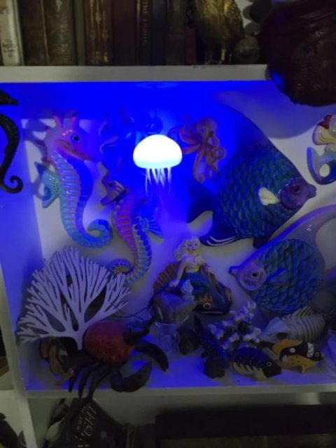 Customer review photo