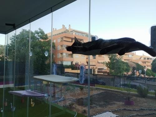 Hamac pour chat | CozyView™