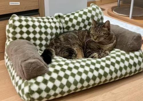 Canapé pour chat | Chanapé™