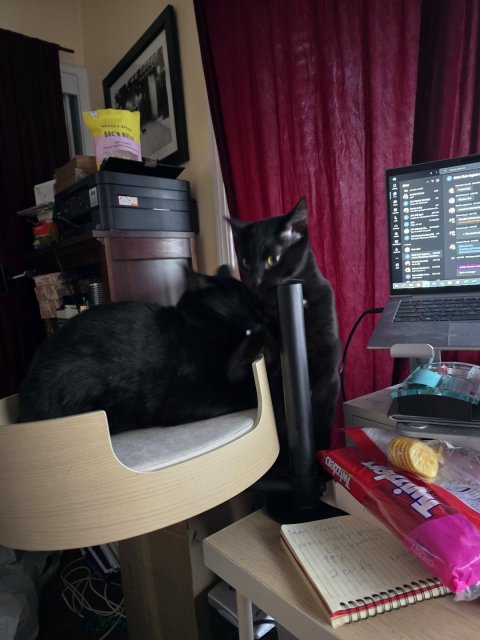 Desk Nest